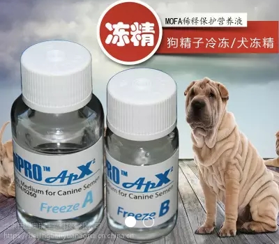 mofa犬用凍精稀釋液 狗精子冷凍 犬凍精專用稀釋液