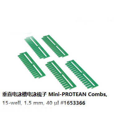 垂直電泳槽電泳梳子