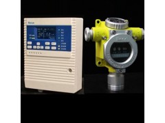 RBK-6000-ZL9天然氣報(bào)警器, 天然氣安全檢測儀器