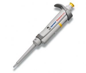 Eppendorf Research plus整支滅菌可調(diào)量程移液器0.5-10ul