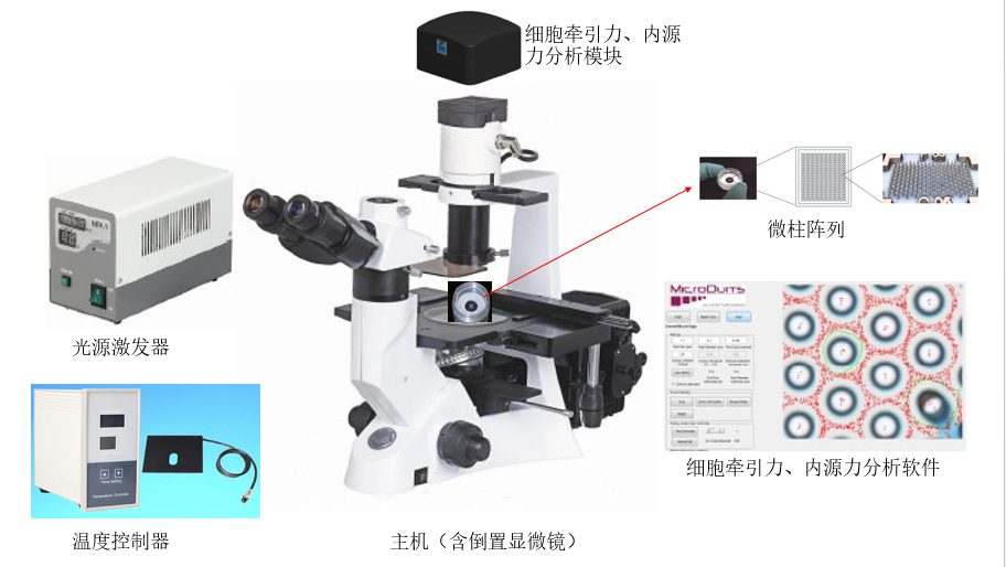 Labomed代理,LB702，+ 細胞牽引力顯微鏡 +cell mechanics analyze