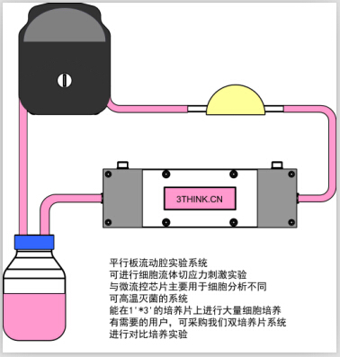 BIOCUL-S100流體細(xì)胞剪切力系統(tǒng) 細(xì)胞流體切應(yīng)力 流動中的動態(tài)細(xì)胞培養(yǎng)