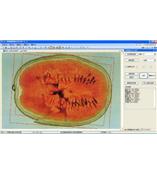 LA-S瓜果剖切面、瓤色圖像分析儀系統(tǒng)